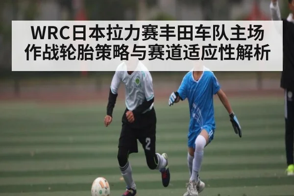 WRC日本拉力赛丰田车队主场作战轮胎策略与赛道适应性解析