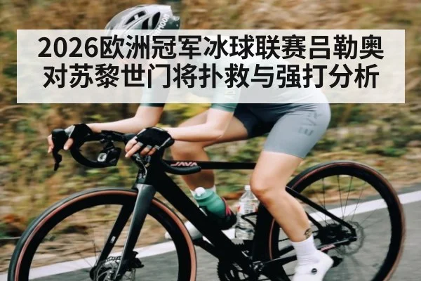 2026欧洲冠军冰球联赛吕勒奥对苏黎世门将扑救与强打分析